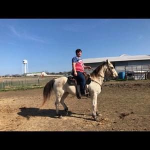 Meet your Posher, Tj